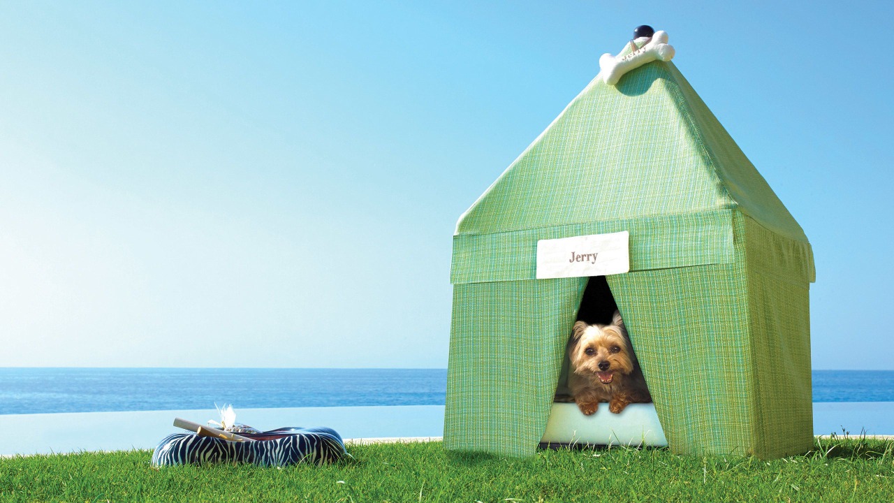 Hotel para pets
