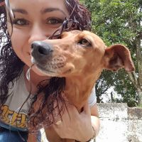 FABIANA MONTILLA